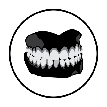 dental care vector image